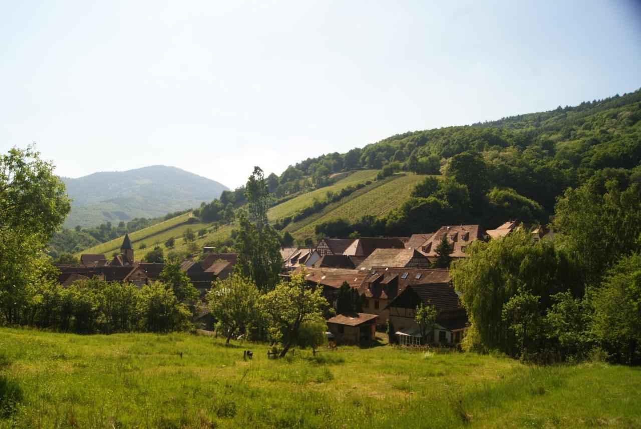 Gite Du Thalala Bernardville ภายนอก รูปภาพ